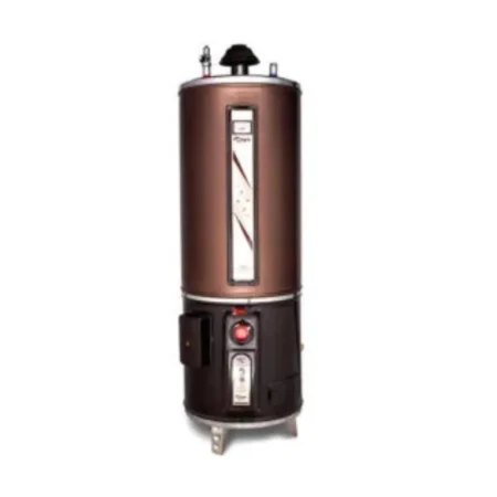 Rays Storage Electric and Gas Geyser 55 Gallons