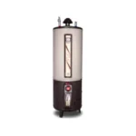 Rays 55G Gas Storage Geyser 55 Gallons