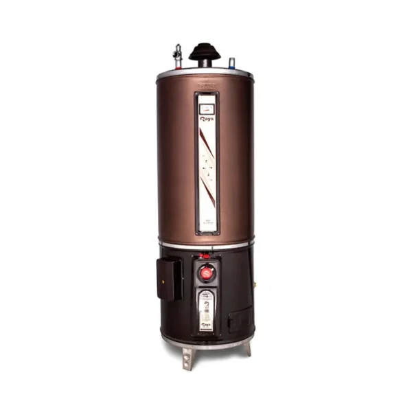 Rays Heavy Guage Storage Geyser Electric & Gas 35G Twin
