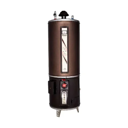 Rays Auto Ignition 35G Gas Storage Geyser