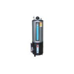 Rays 55G Twin Electric & Gas Storage Geyser