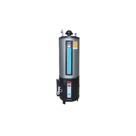 Rays 55G Twin Electric & Gas Storage Geyser