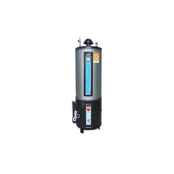 Rays 55G Twin Electric & Gas Storage Geyser