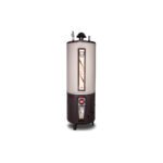 Rays 55 Gallons Storage Gas Geyser Standard