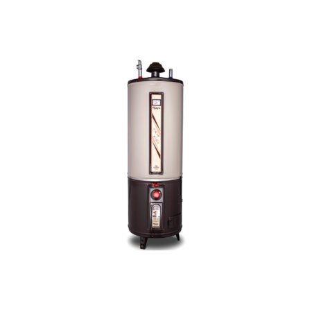 Rays 55 Gallons Storage Gas Geyser Standard