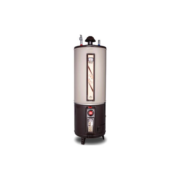 Rays 55 Gallons Storage Gas Geyser Standard