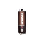 Rays Heavy Guage Storage Geyser Electric & Gas 35G Twin