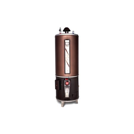 Rays Heavy Guage Storage Geyser Electric & Gas 35G Twin