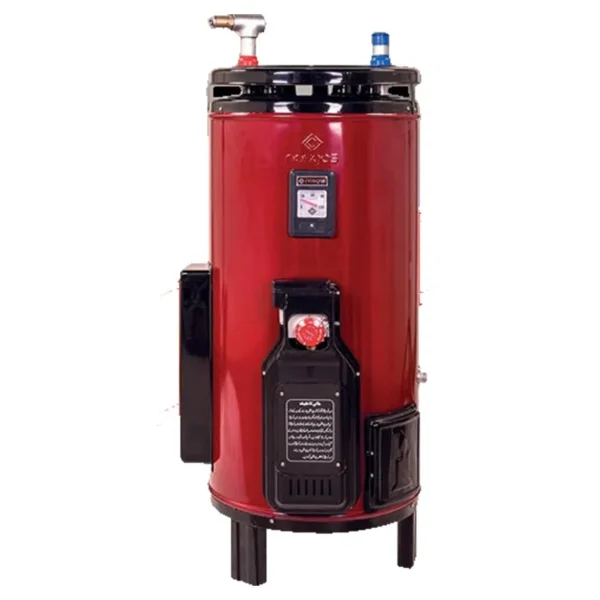Nasgas Twin Geyser DEG-3030 (Fasting Heater)