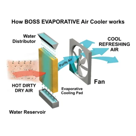 Boss Air Cooler ECM 6500 IB XL Plus Green